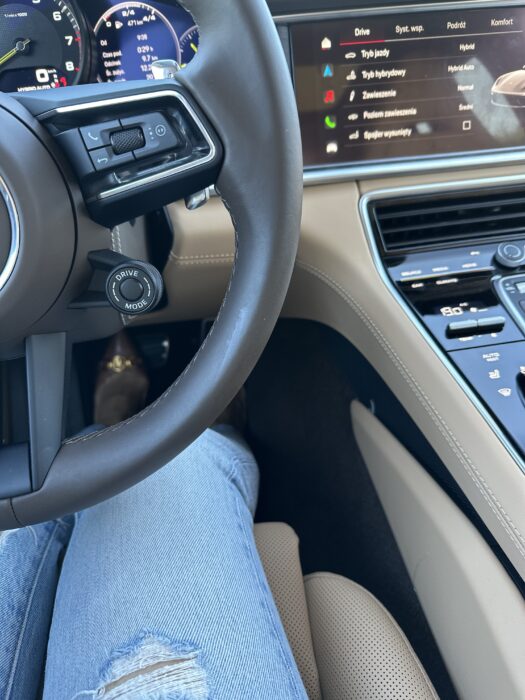 C8C94911-F859-45D8-9F4C-3E32BAB12C4E